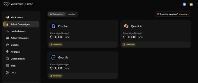 The image presents a screenshot of a computer screen that displays information about several campaigns, including those named Quackers and Quackers with $10,000. The text suggests this may be related to a conversation or discussion about these campaigns.