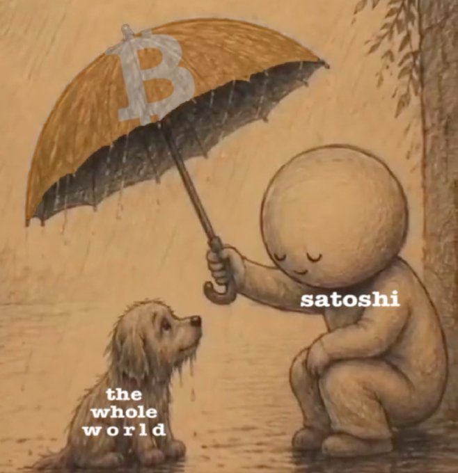 A sketch-style illustration shows a gentle, round-headed figure labeled "satoshi" holding a Bitcoin-branded umbrella to shelter a small, drenched dog labeled "the whole world" from the rain—symbolizing how Bitcoin's creator protects the world from financial storms, which aligns with the post's grateful tone: "Thank you, Satoshi."