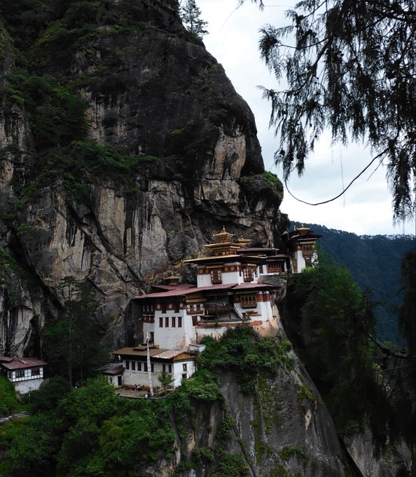 A scenic view of a traditional Bhutanese or Tibetan-style monastery with golden roofs and white walls built precariously into a steep rocky cliff face, surrounded by lush green forest.