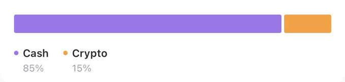 A horizontal progress bar chart comparing Cash at 85% (purple) and Crypto at 15% (orange).