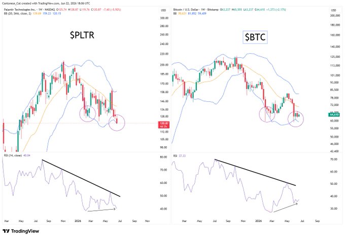 A side-by-side TradingView chart compares the weekly price action of $PLTR and $BTC, both showing similar lower-high formations since late 2023 with bearish RSI divergences, reinforcing the post's observation that Bitcoin and Palantir have been tracking closely in tandem.