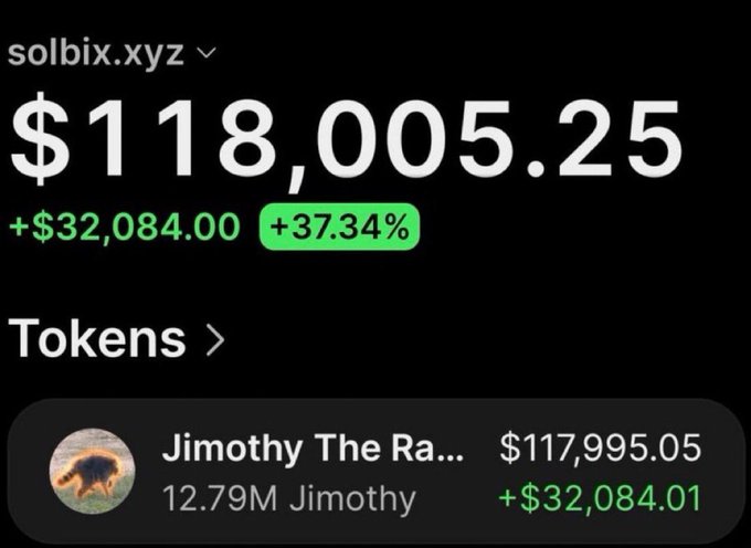 The image shows a portfolio on solbix.xyz valued at $118,005.25, up +$32,084.00 (+37.34%), featuring a holding called "Jimothy The Ra..." (12.79M Jimothy) worth $117,995.05 with a gain of +$32,084.01. This screenshot serves as proof of substantial gains on the $JIMOTHY token, which the poster cites as a 1089x win to promote their next supposed "1000x" pick.