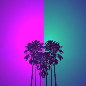 A minimalist digital graphic featuring the dark silhouettes of two palm trees against a gradient background split between vibrant magenta and teal.