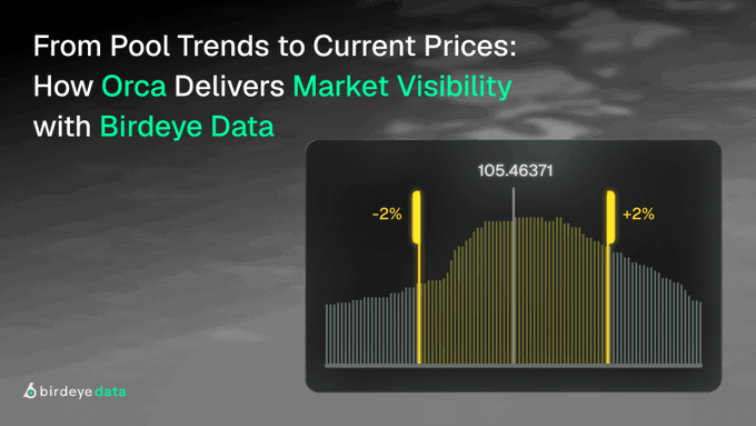 Birdeye Data promotional banner titled 'From Pool Trends to Current Prices: How Orca Delivers Market Visibility with Birdeye Data' featuring a price distribution chart centered at 105.46371 with -2% and +2% markers.