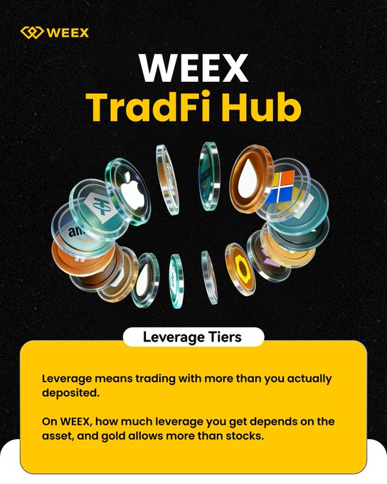 Promotional graphic for WEEX TradFi Hub with text explaining leverage tiers, noting that 'Leverage means trading with more than you actually deposited' and that 'gold allows more than stocks,' alongside various trading asset tokens.