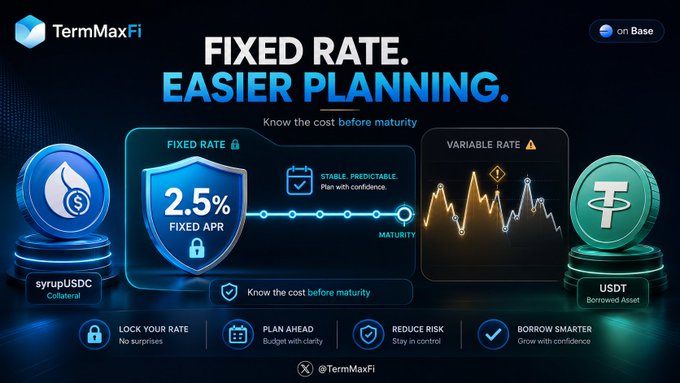 A TermMaxFi promotional graphic with the headline 'FIXED RATE. EASIER PLANNING.' compares fixed and variable rates, featuring a 2.5% fixed APR, syrupUSDC collateral, and USDT borrowed assets.