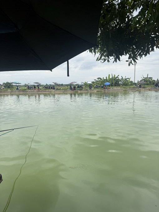 A view from under a dark umbrella looking out over a green-tinted pond or lake toward the opposite shore, where people are fishing under colorful umbrellas with banana trees visible in the background.