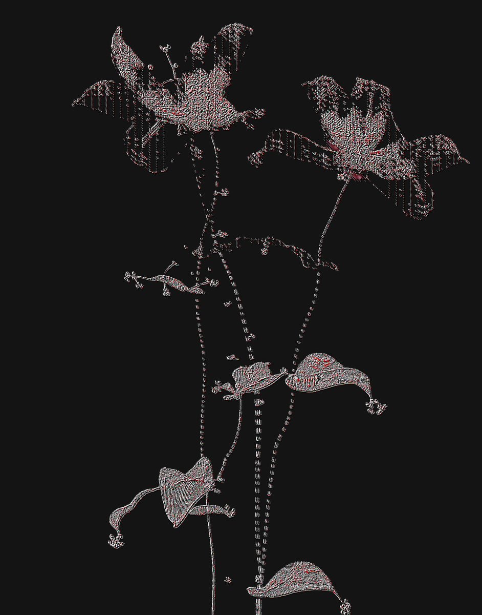 The image features a black background with two flowers, one larger than the other, positioned at different heights. The flowers are depicted as being made up of lines or dots, giving them a digital art style appearance. The caption below the image provides information about the artwork and its source, suggesting that it is part of the Glitch Herbarium II collection on @objktcom A botanical form in digital translation.