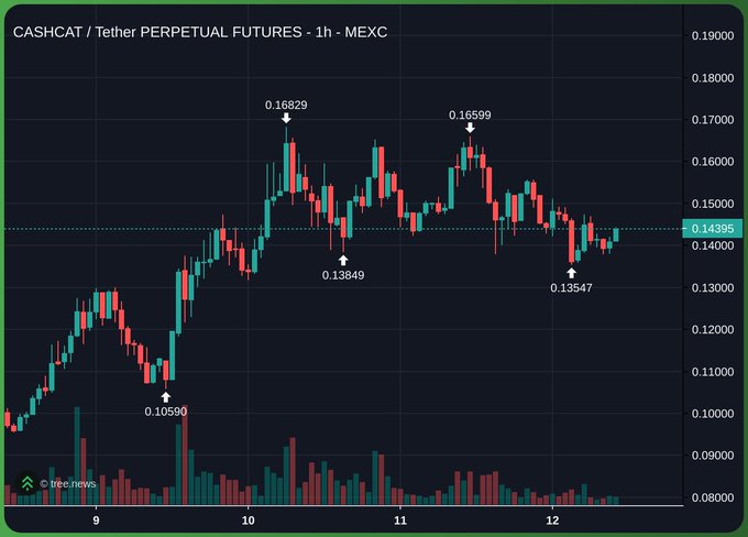 A 1-hour candlestick chart of CASHCAT/USDT perpetual futures on MEXC shows the price bouncing between lows of 0.10590 and 0.13547, with peaks of 0.16829 and 0.16599, currently trading around 0.14395—supporting the post's bullish case that $CASHCAT is setting up for a significant run after its recent dip.