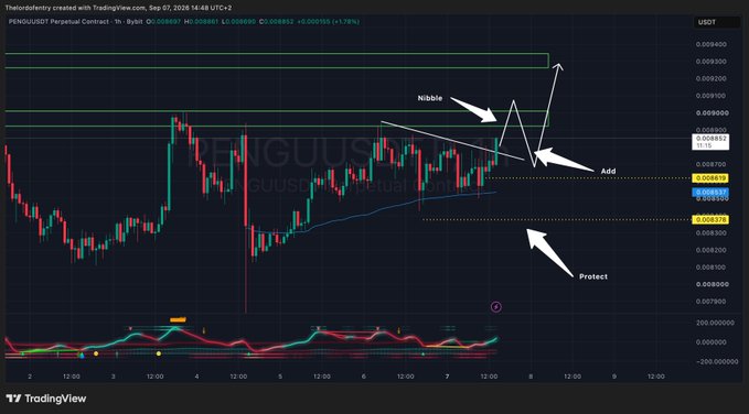 A TradingView 1-hour candlestick chart for PENGUUSD Perpetual Contract on Bybit, showing a price of approximately $0.008993 (down 1.17%), with white annotations highlighting potential support levels labeled "Nibble," "Add," and "Protect" between $0.0089 and $0.0086, suggesting buy-the-dip zones for the PENGU token.