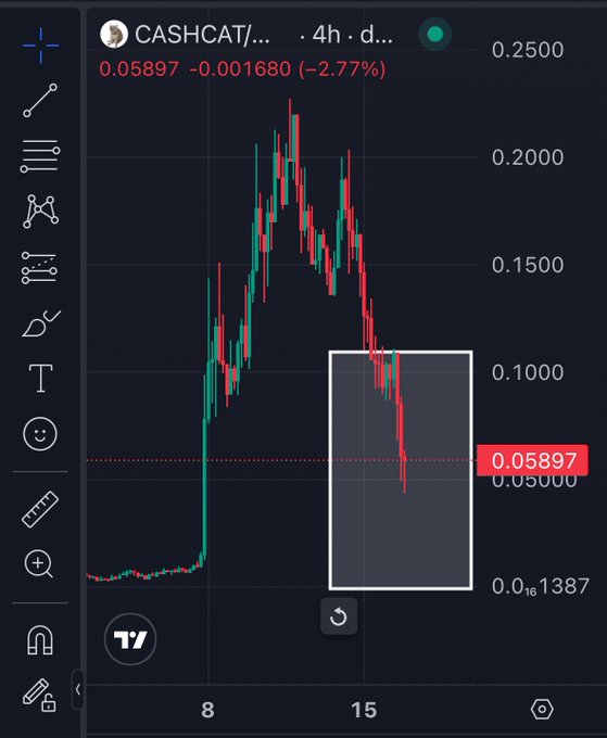 A TradingView 4-hour candlestick chart of CASHCAT/USD showing a sharp rally from ~0.014 to a peak near 0.24, followed by a steep decline to 0.05897 (–2.77%), with a white rectangular box drawn around the recent price action to highlight the support zone where a potential bottom is expected to form.