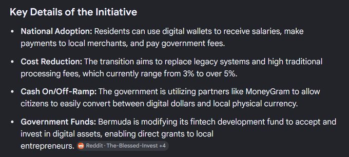 The image shows a screenshot of a webpage with text that reads "Key Details of the Initiative". The text provides information about the National Adoption Program (NAP) and its impact on digital wallets, including details such as cost reduction, cost off-ramp, and cost on-ramp. The post also mentions the use of digital wallets to receive salaries in Bermuda, which is related to the NAP.