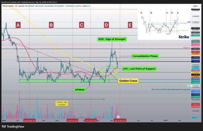 A TradingView chart of VELO/USDT showing price action marked with Wyckoff phases A–E, highlighting a "Spring," "LPS: Last Point of Support," "Golden Cross," "SOS: Sign of Strength," and "Consolidation Phase," with key support noted near $0.0035–$0.0036 aligning with the daily MA200—illustrating Velo's pullback and critical support levels mentioned in the post.