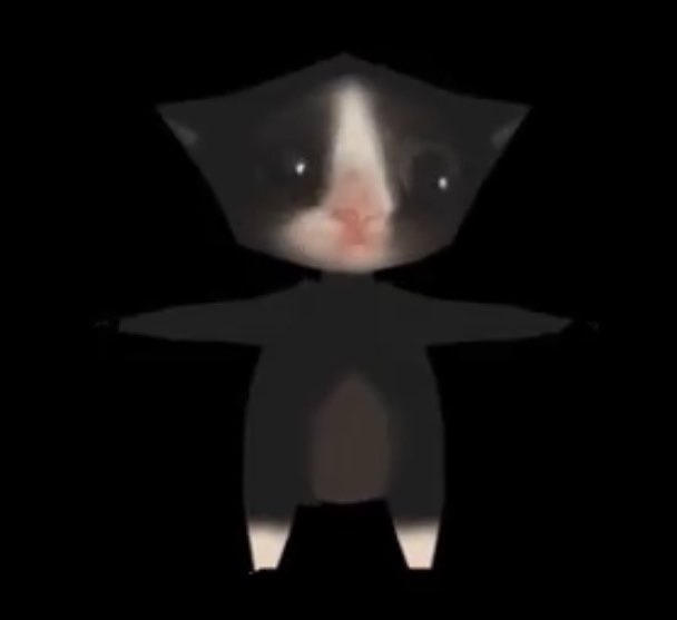 A creepy, distorted image of a cat with an angular, geometric black body shape and a small realistic cat face, giving an unsettling appearance.
