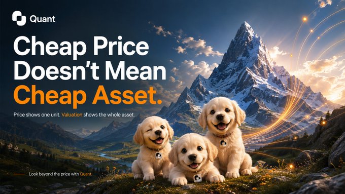 A Quant promotional graphic reading 'Cheap Price Doesn't Mean Cheap Asset' with the tagline 'Price shows one unit. Valuation shows the whole asset' and 'Look beyond the price with Quant,' featuring three golden retriever puppies against a mountain backdrop.