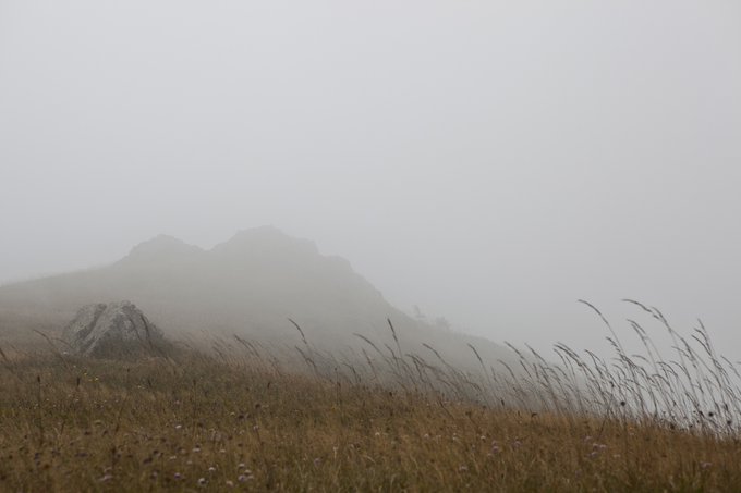 A moody landscape of a mountain peak shrouded in thick fog, with tall grass swaying in the foreground.