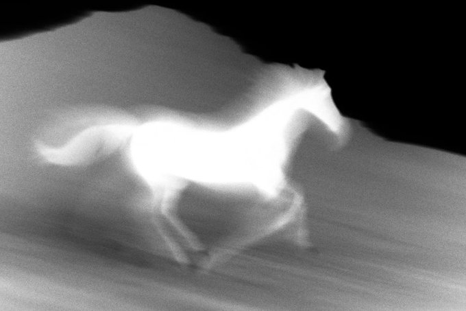 A black and white thermal or negative image showing a glowing white horse running across a landscape.