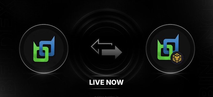 A promotional graphic with a dark background features two circular logos connected by a gray double-arrow icon, with "LIVE NOW" displayed in bold white text below, announcing the launch of the new Beldex-to-BNB bridge.

The image directly visualizes the post's announcement of a live cross-chain bridge, using the two logos to represent the Beldex Native Chain and BNB, with the bidirectional arrow symbolizing the cross-chain transactions made possible by the new bridge.