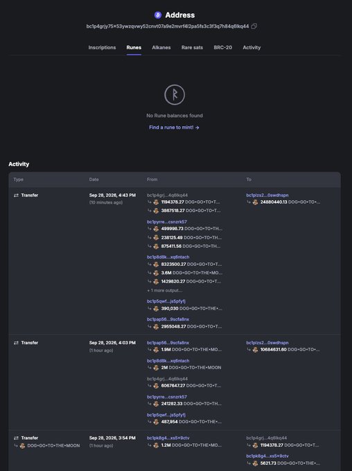 A cryptocurrency address page on a blockchain explorer showing "No Rune balances found" and a list of recent transfer activities involving DOG tokens between various wallet addresses.