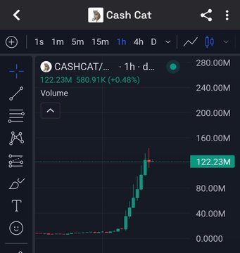 A TradingView chart showing a token named 'Cash Cat' (CASHCAT/...) with a candlestick chart displaying a sharp price spike up to 122.23M (up 0.48%) on the 1h timeframe.