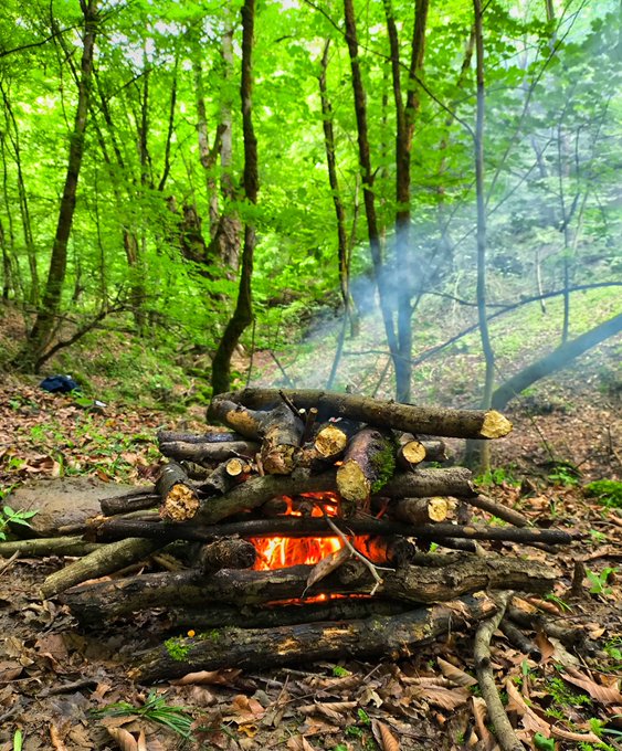 The image shows a pile of wood stacked up outside, with smoke coming out of one end. The scene appears to be set in a forest or woods area, possibly during the morning hours when the sun is rising. There are no people visible in the photo, and the focus seems to be on the stack of wood and the smoke it's producing.