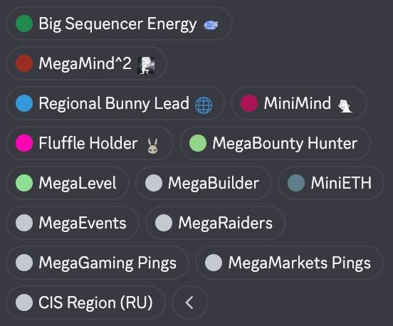 The image shows a screenshot of a computer screen displaying information about energy providers, likely for Discord players who are interested in gaming. The screen contains various options, such as "Big Sequencher Energy", "MegaLevel", and "Regional Bunny Leader". These options provide different features or benefits for gamers to choose from when selecting their preferred energy provider.