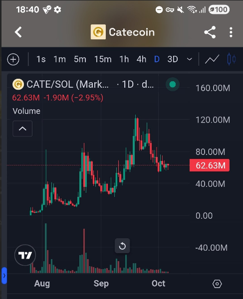 A TradingView chart shows CATE/SOL on a daily timeframe, currently trading at $62.63M with a 2.95% decline, displaying a bullish cup-and-handle pattern that formed between August and October with a breakout above the $62.63M resistance level. The image supports the post's claim by visually presenting $CATE's clear technical setup that signals an obvious trading opportunity.