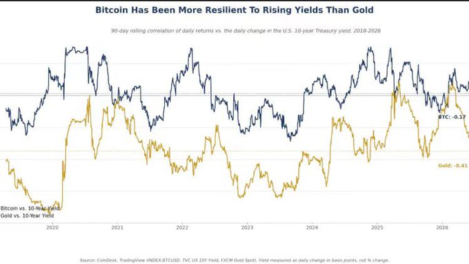 A financial chart titled 'Bitcoin Has Been More Resilient To Rising Yields Than Gold' showing the 90-day rolling correlation of daily returns for BTC (-0.17) and Gold (-0.41) versus the U.S. 10-year Treasury yield from 2018-2026.