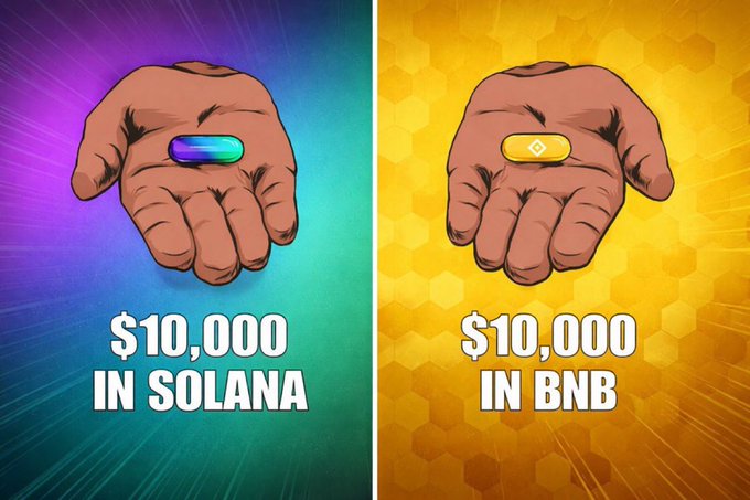 The image shows two hands side by side—one holding a Solana (SOL) pill on a purple background, and the other holding a BNB pill on a yellow background—both labeled "$10,000," visually representing the choice between investing $10,000 in SOL versus $10,000 in BNB as posed in the post.