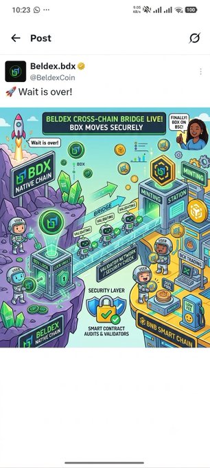 A mobile screenshot of an X (Twitter) post by @Beldex.bdx (@BeldexCoin) announcing 'Wait is over!' with an illustrated graphic titled 'BELDEX CROSS-CHAIN BRIDGE LIVE! BDX MOVES SECURELY' showing BDX tokens transferring from the Beldex Native Chain to a BNB Smart Chain mining station.