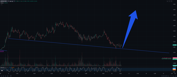 A candlestick chart of ANSEM on a 1-hour timeframe shows a sharp upward price spike breaking above a descending trendline, with the RSI indicator at the bottom indicating oversold conditions, visually supporting the call for a bottom reversal.