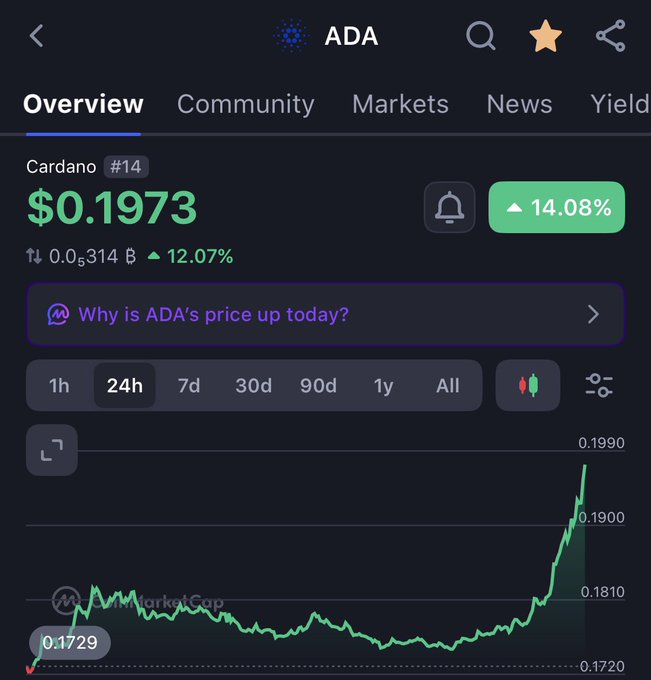 A crypto price tracking app displaying Cardano (ADA) at $0.1973, up 14.08% over 24 hours, with a chart showing price movement between $0.1720 and $0.1990.