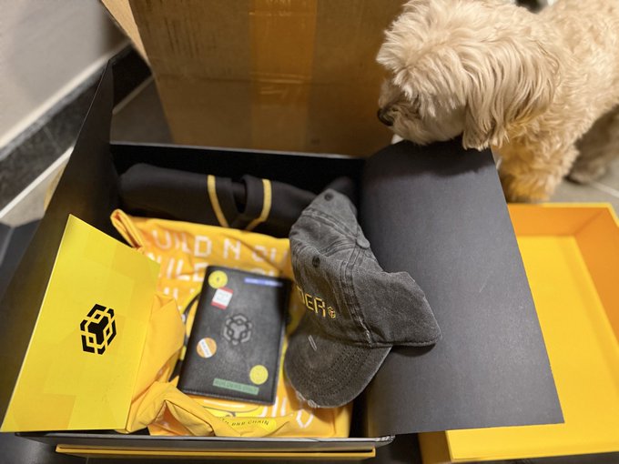 A fluffy puppy curiously sniffs an open BNB-branded merchandise box containing a black cap, an NFT-themed card with "BCF" visible, and yellow apparel, ready to become the "#BNBDOG." The pup appears to be inspecting the crypto-themed swag as part of a playful pitch for a Global Dog Ambassador Program on International Dog Day.