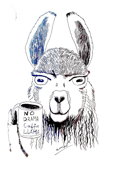 A black-and-white sketch of a stern-looking llama holding a coffee mug labeled 'NO DRAMA Coffee LLAMA,' signed 'ambel' at the bottom.