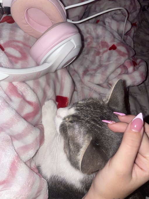 A gray and white cat relaxes on a pink rose-patterned blanket next to pink headphones, while a hand with pink nails gently strokes its head. The cozy scene ties into the "real women assets $KITTY" post by highlighting the cat as the true "asset" being pampered in this soft, feminine aesthetic.
