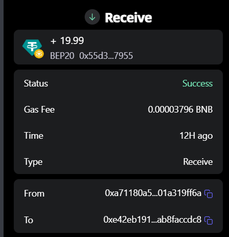 A screenshot of a cryptocurrency wallet interface showing a 'Receive' transaction for +19.99 BEP20 tokens (address 0x55d3...7955) with a status of 'Success', a gas fee of 0.00003796 BNB, and a time of 12H ago.