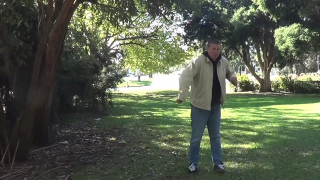 The image features an older man standing in a park with his arms outstretched as if he's about to throw something or celebrate a victory. The background includes trees and bushes, creating a natural setting. The caption of the image suggests that there is a connection between the man's actions and a song called "I got a gun, I got a lotta mon, is this our anthem?".