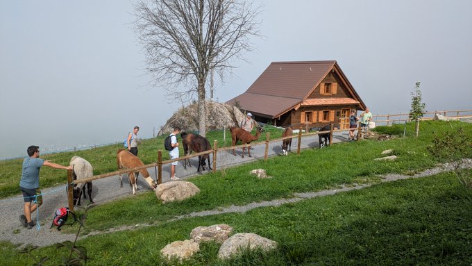 A group of people leads horses and ponies along a fenced path near a wooden chalet-style building on a grassy hillside.