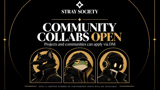 Promotional graphic for 'STRAY SOCIETY' announcing 'COMMUNITY COLLABS OPEN,' inviting projects and communities to apply via DM, featuring three illustrated character mascots in hooded attire and noting limited partnership spots are available.