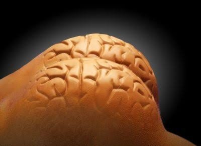 A close-up image of a brain-shaped object made out of what appears to be a baked good (bread or pastry), photographed against a dark background.