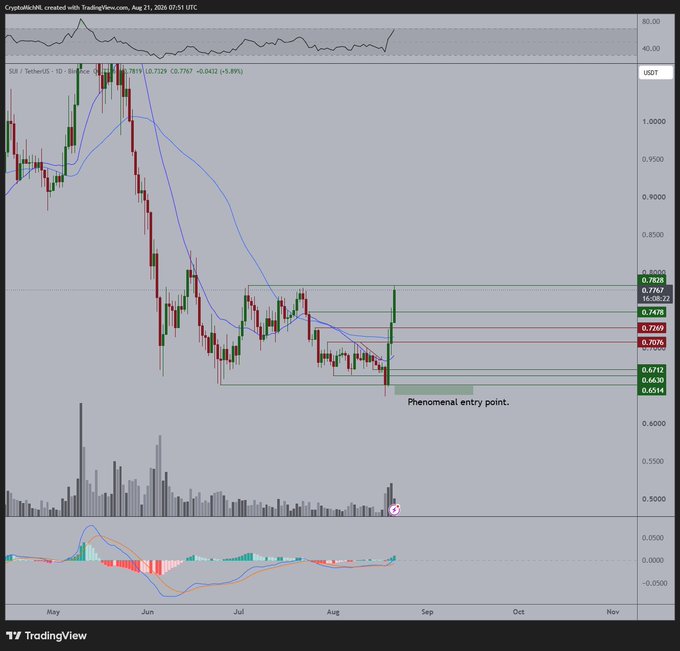 A TradingView candlestick chart for SUI/USDT showing an RSI indicator, with a text annotation noting a 'Phenomenal entry point' near the bottom of a price range.