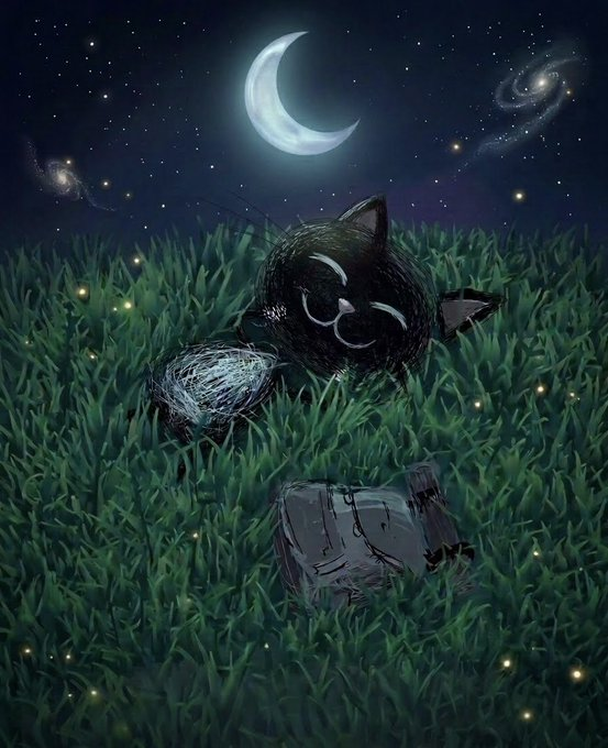 The image features a black cat sleeping peacefully in a field of grass at night, with a full moon visible above. The scene also includes stars scattered across the sky, adding to the overall atmosphere of the picture. The caption provided seems unrelated to the main subject matter and does not provide any valuable information about the image or its context.