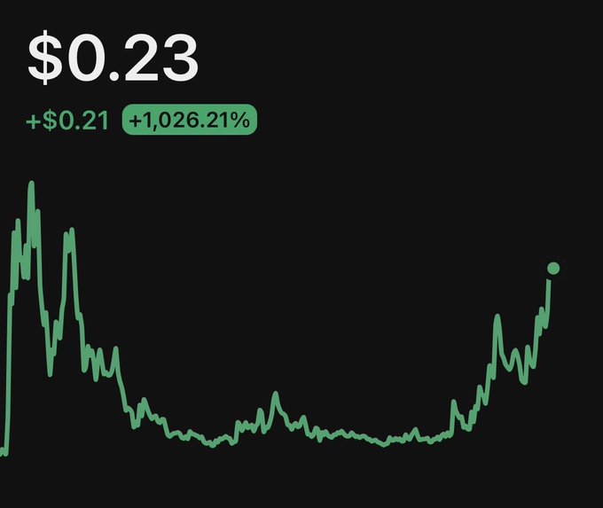 The image shows an animated graph on a screen with green lines that represent prices of various cryptocurrencies, including Etherium (ETH), Ripple (XR), Cardano (CAD), and Bitcoin Cash (BCH). The graph displays the values at different times throughout the day. On top of this chart is a message in white text saying "0.23 $".