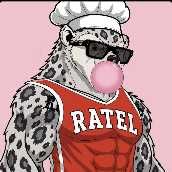 A cartoon illustration of an anthropomorphic snow leopard wearing sunglasses, a chef's hat, and a red tank top that says 'RATEL' while blowing a pink bubblegum bubble.
