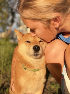 A tender close-up photo of a smiling blonde girl nuzzling her face against a smiling Shiba Inu dog outdoors in sunlight.