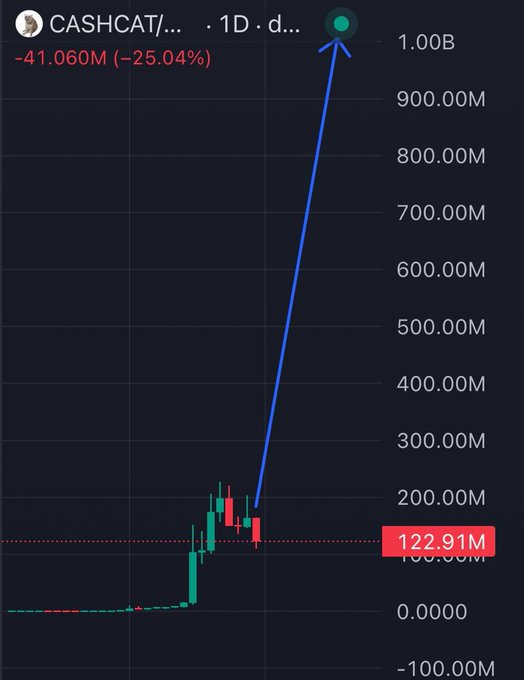 A candlestick chart for the 'CASHCAT' token showing a massive surge to nearly 1.00B, followed by a sharp drop, with current value highlighted at 122.91M (-25.04%).