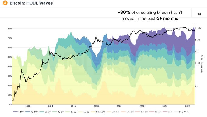 A chart titled 'Bitcoin: HODL Waves' showing the distribution of Bitcoin holding periods, noting that ~80% of circulating bitcoin hasn't moved in the past 6+ months, with BTC price ranging from $1 to $100k.