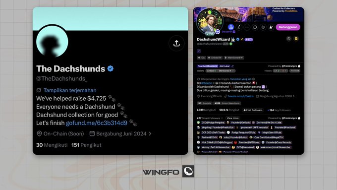The image shows Twitter profiles for "The Dachshunds" (@TheDachshunds_) and "DachshundWizard" (@dachshundwizard), featuring details about an NFT project that has raised $4,725 and finished its GoFundMe fundraiser, with the founder's profile highlighting smart followers despite lacking information on supply, mint price, or mint date.