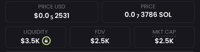The image displays a cryptocurrency price tracker showing a token priced at $0.052531 USD (0.073786 SOL), with a locked liquidity of $3.5K, an FDV of $2.5K, and a market cap of $2.5K. This relates to the post as it serves as visual evidence of the low-cap coin being promoted, with the minimal $2.5K market cap supporting the claim of a potential "1000x" to reach $10M.