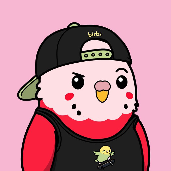 A cartoon illustration of a chubby bird character wearing a backwards 'birbs' cap and a black tank top, with a smaller yellow bird on a skateboard on its chest, against a pink background.